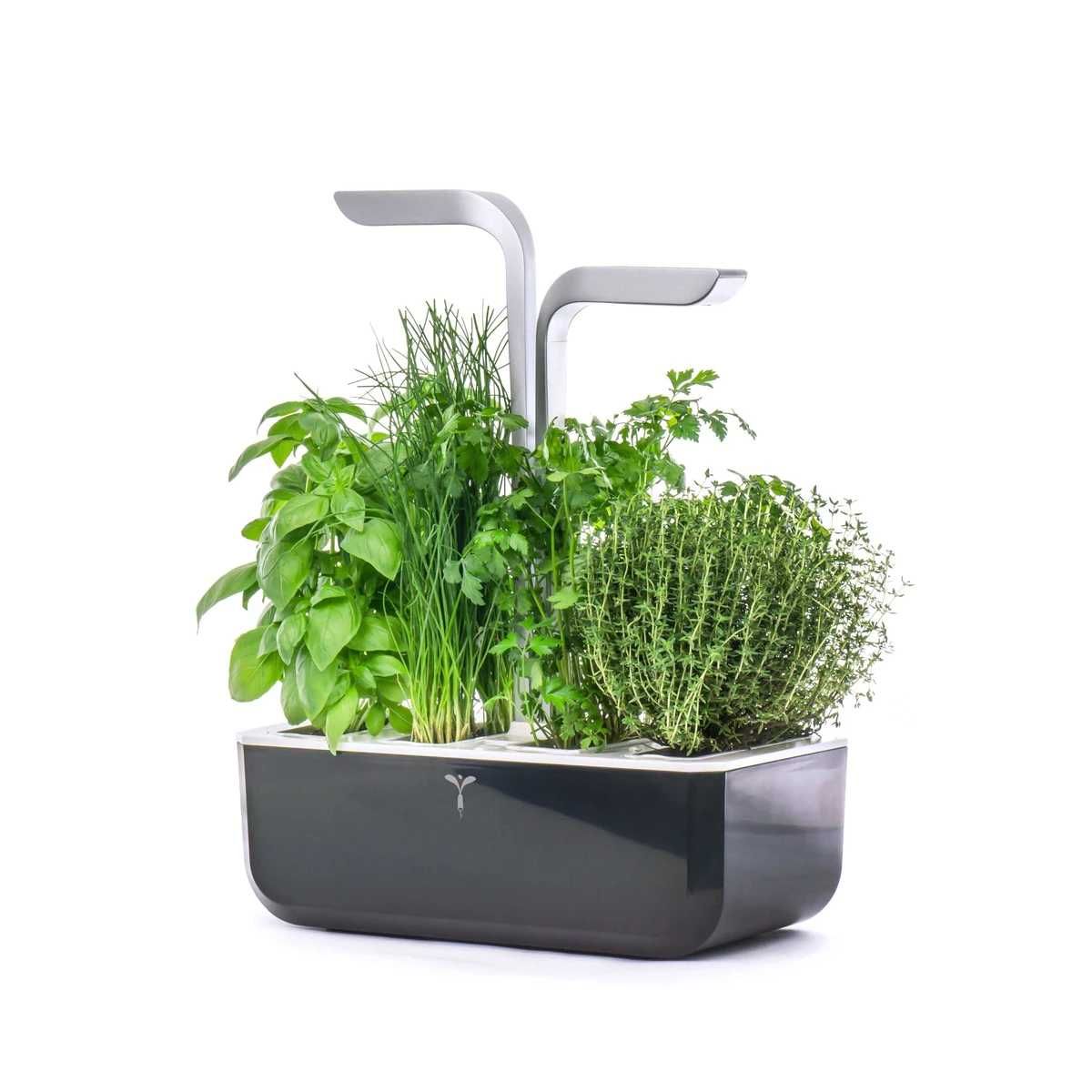 Horta Urbana Véritable Smart Garden, com Caixa