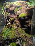 Paludarium Repti  Planet + lampa klosz + kompletny wystruj oraz ispody