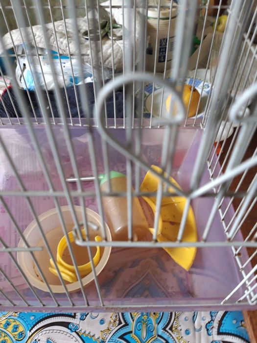 Продам клетку для хомяка,бу