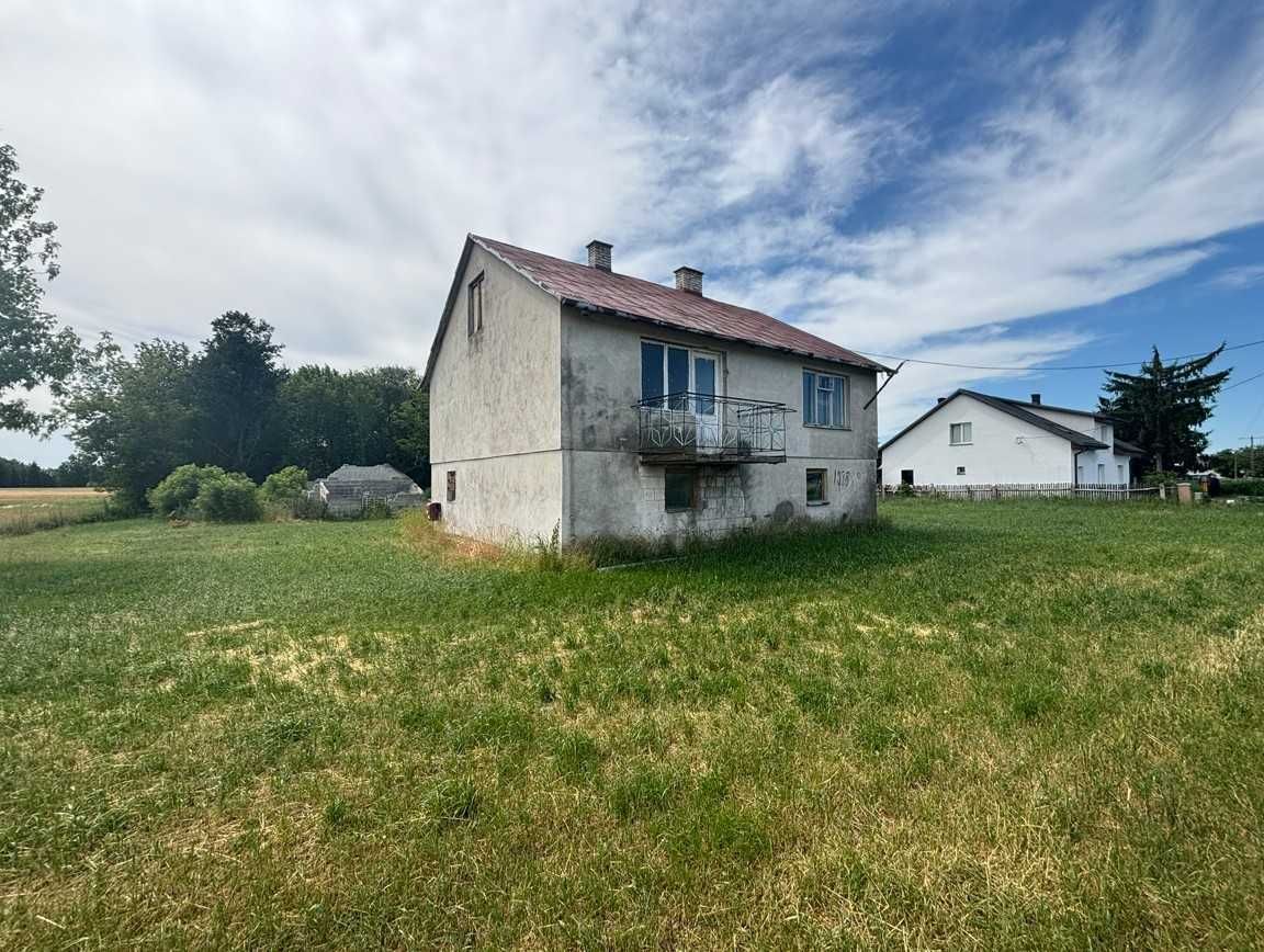 Siedlisko na kolonii, ZASTAWIE