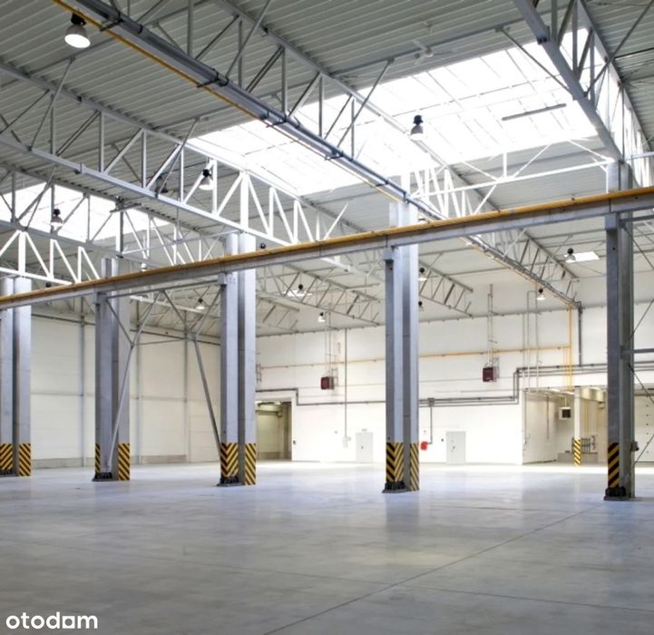Magazyn, hale magazynowe do wynajęcia
