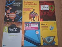 Cadernos de atividades 9º ano