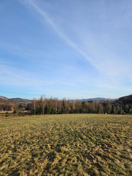 Domki w Karkonoszach, Jarkowice blisko Karpacz,