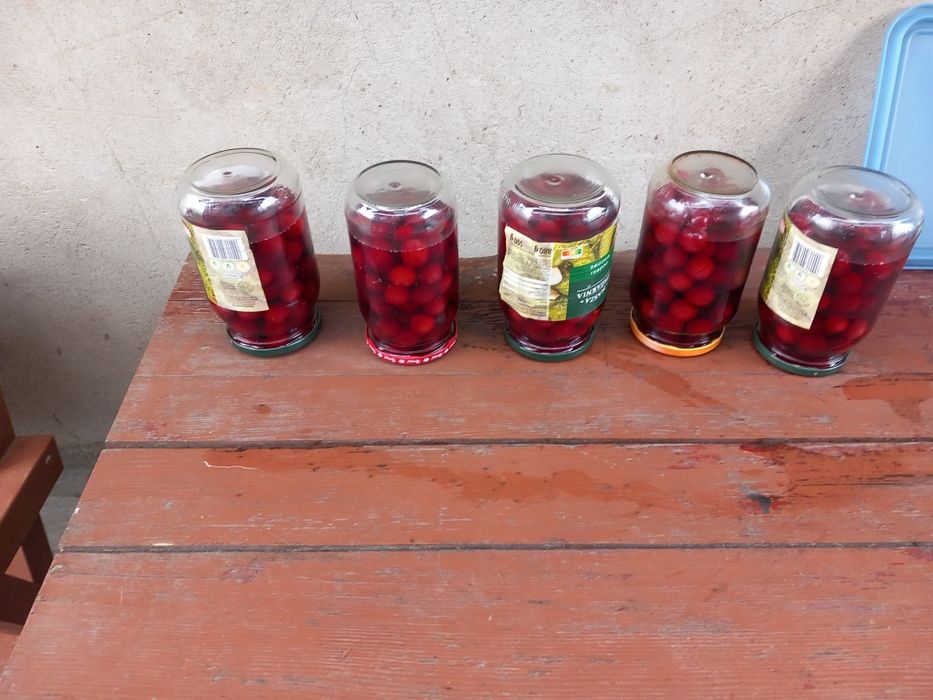 Kompot domowy z niedrylowanych wisni