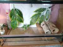 Sprzedam terrarium