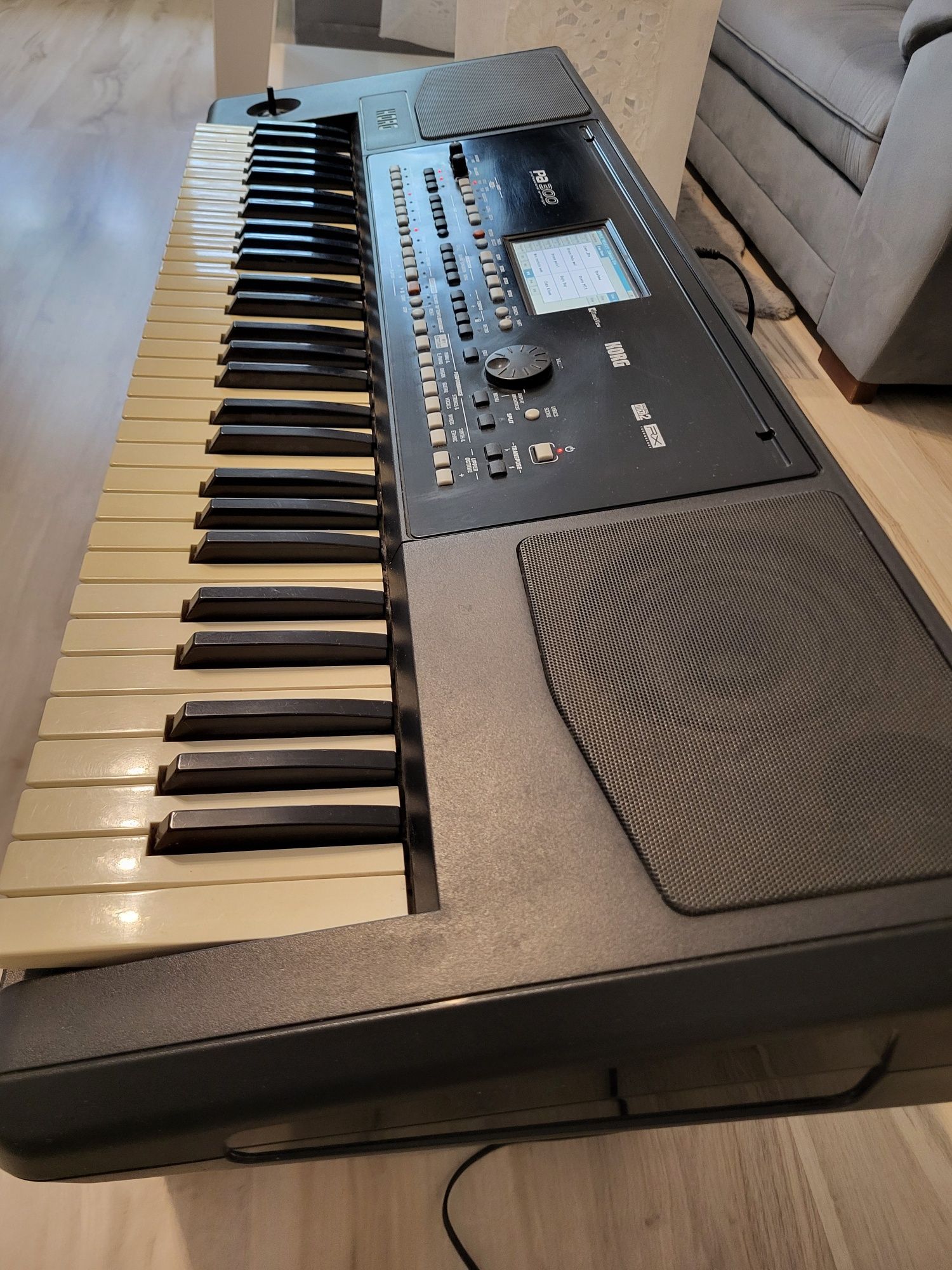 Korg PA 300 z zasilaczem + style