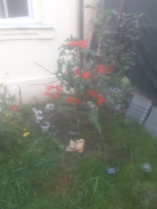 Сдам! Комнату в ч секторе!