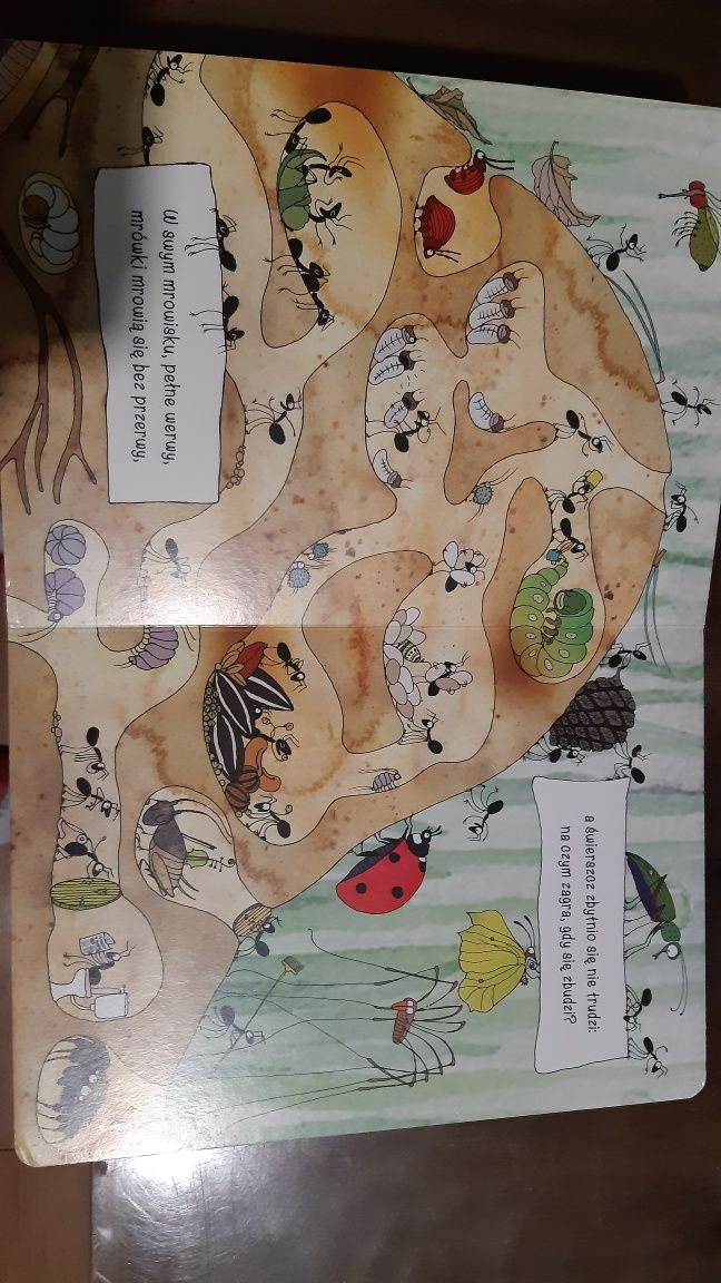 Opowiem Ci mamo co robią mrówki, książeczka dla dzieci