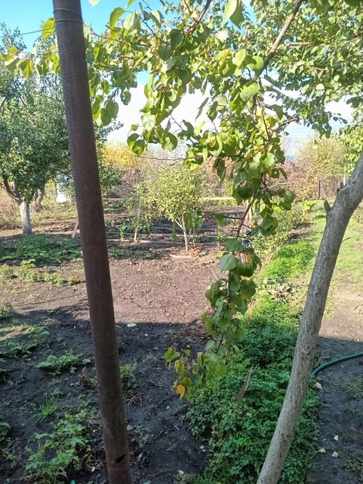 Продам дачу МОПР