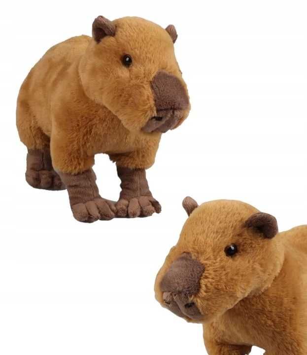 pluszak kapibara capybara antek zabawka maskotka 30CM