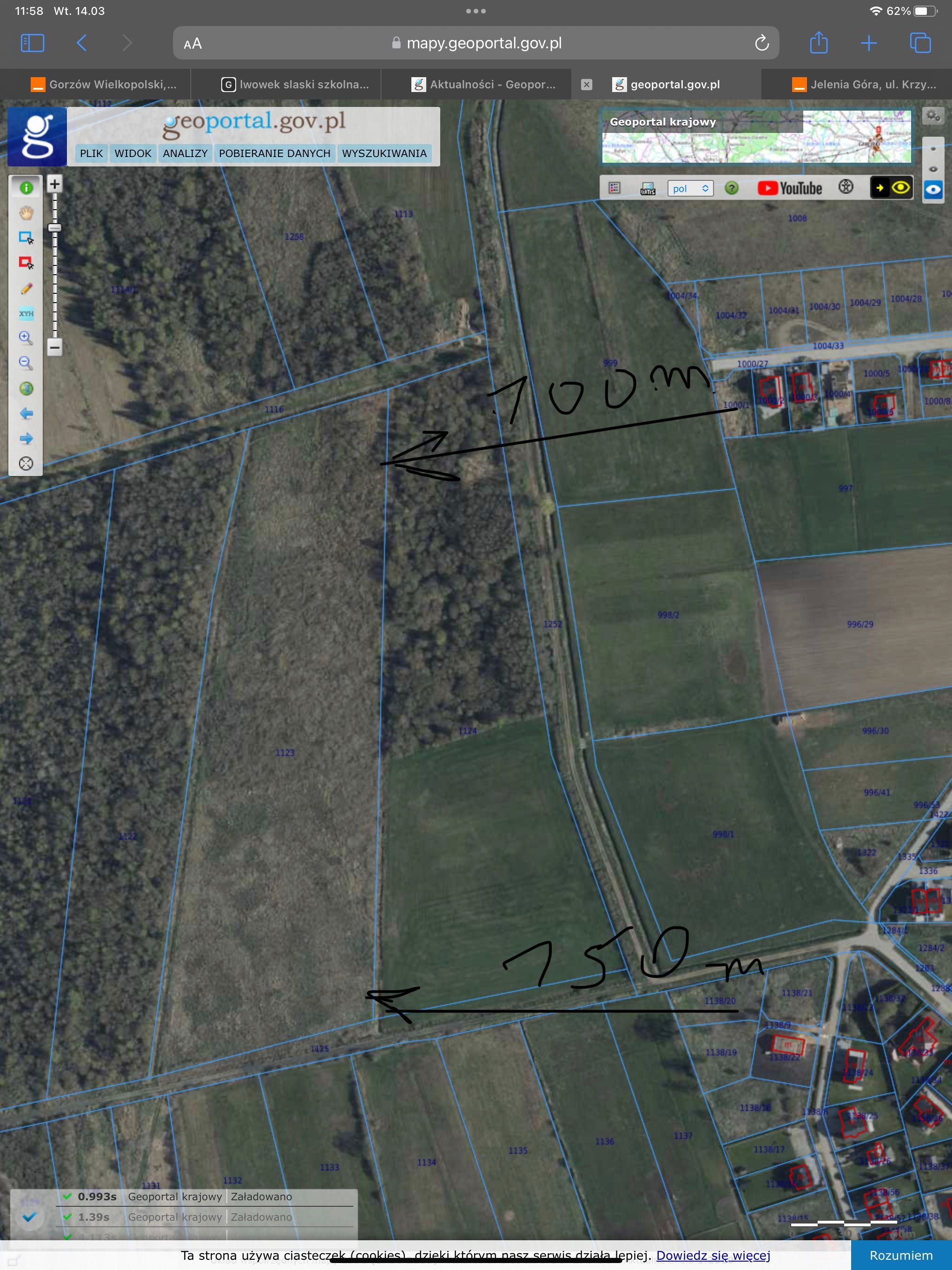 Wynajme Dzialka rolna w Mostach 38000 m2 kemping,konie,plantacje
