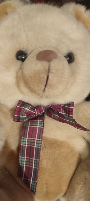 Urso de peluche com laço