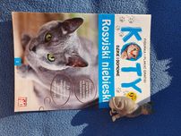 Koty dzikie i domowe Gazetka kolekcja