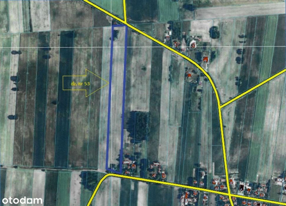 Działki w Kamień Kolonia (cena do negocjacji)