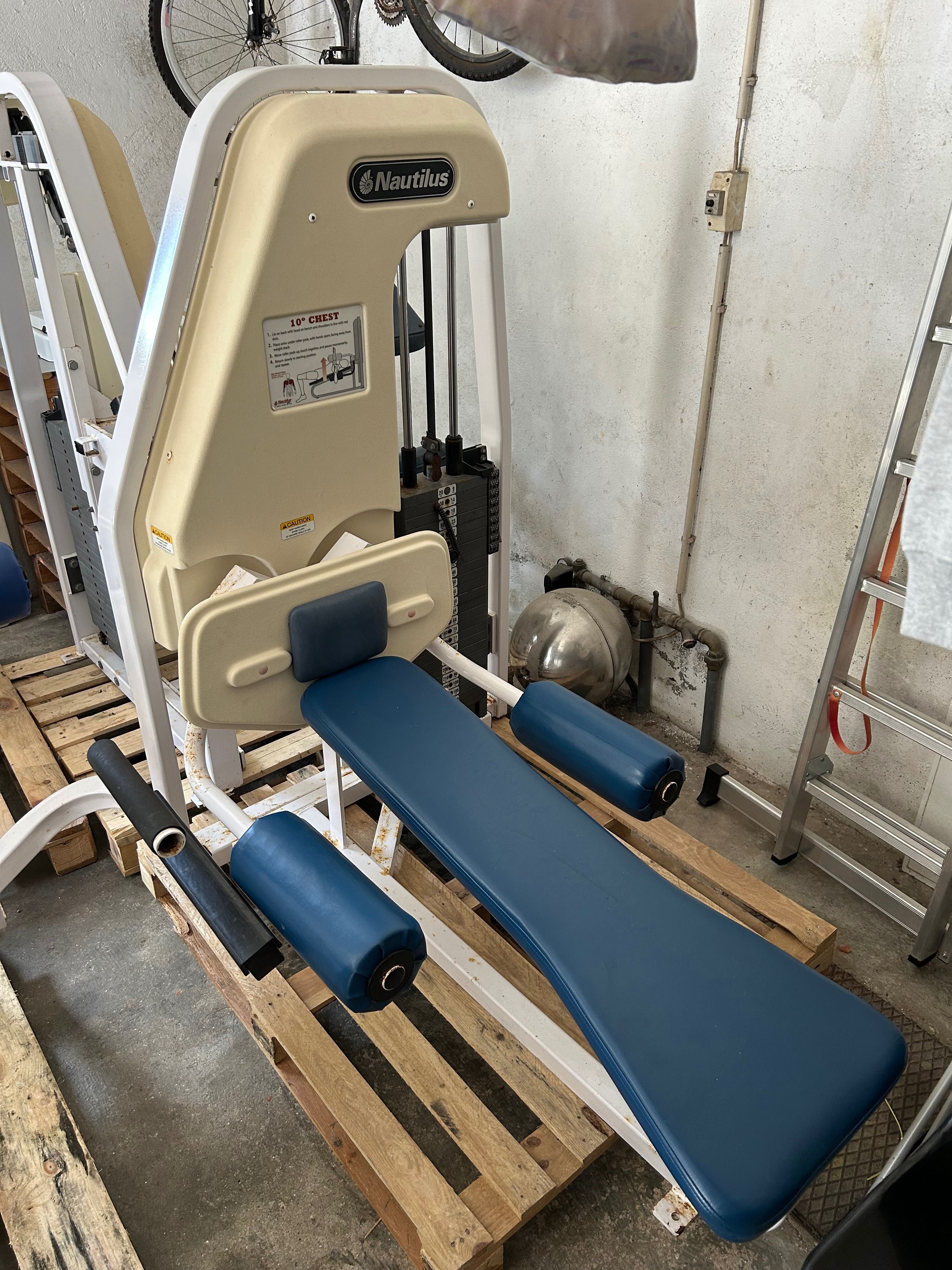 Lote Máquinas Nautilus Strength