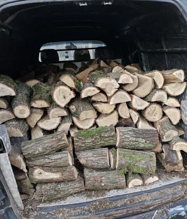 Drzewo kominkowe opałowe + gratis!