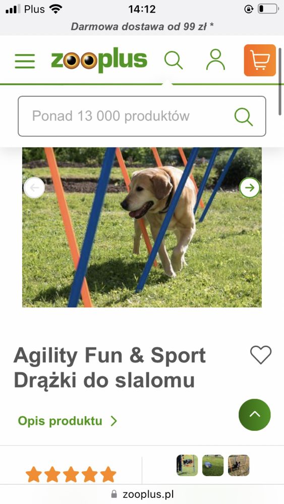 Agility zestaw treningowy dla psa obrecz i drążki do slalomu