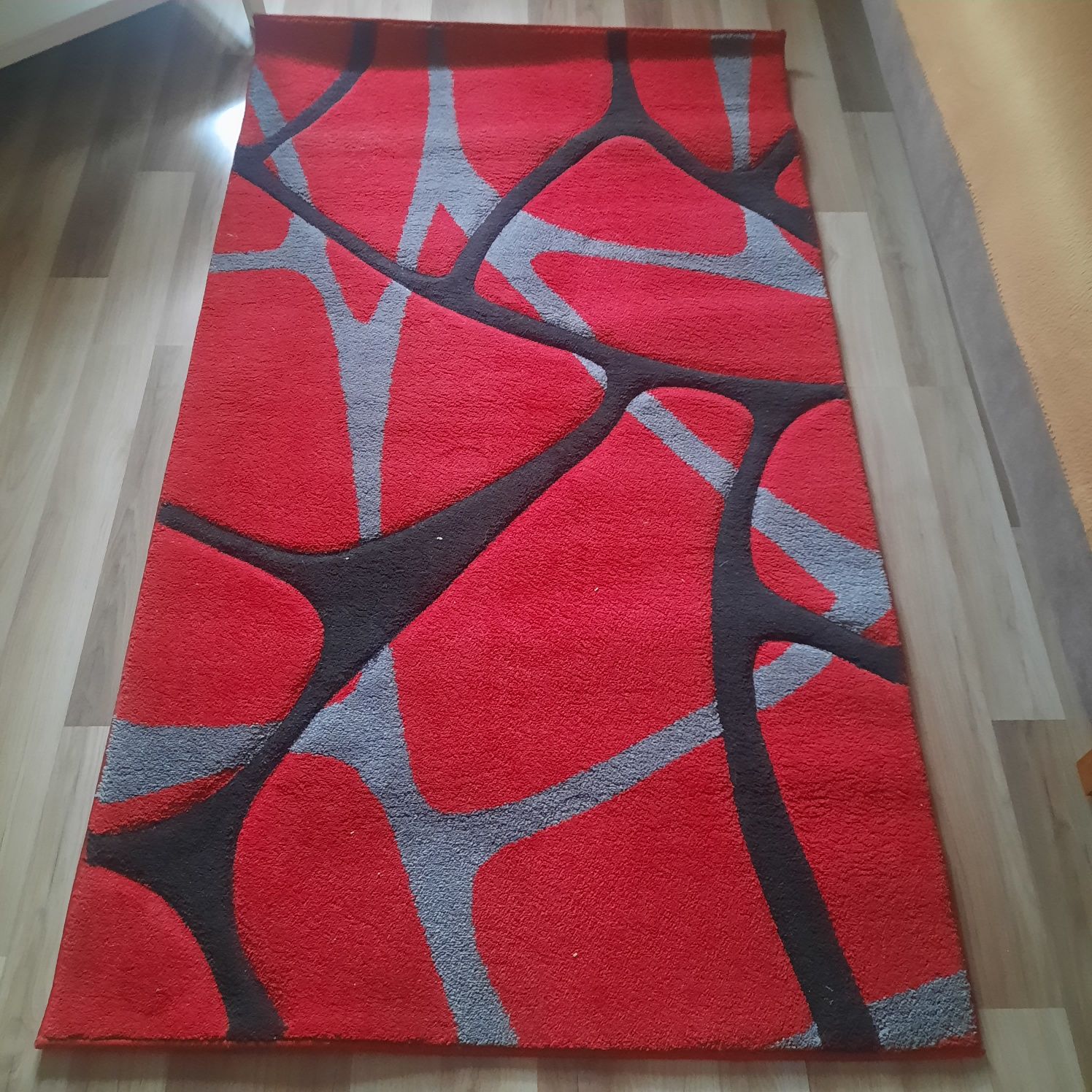 Wyposażenie domu dywany