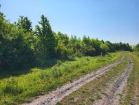 Ділянка 13.16 сотих для будівництва. 3000$. Дядьковичі
