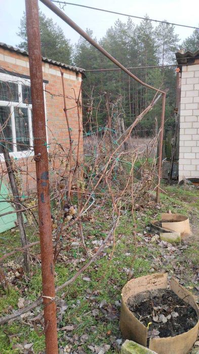 Будинок в селі Писарівка Полтавської області