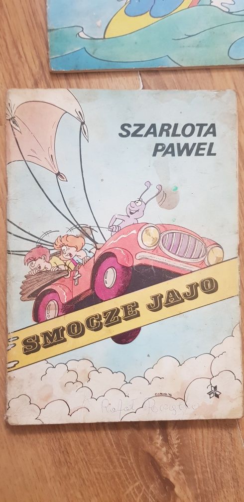 Kajko i kokosz i inne