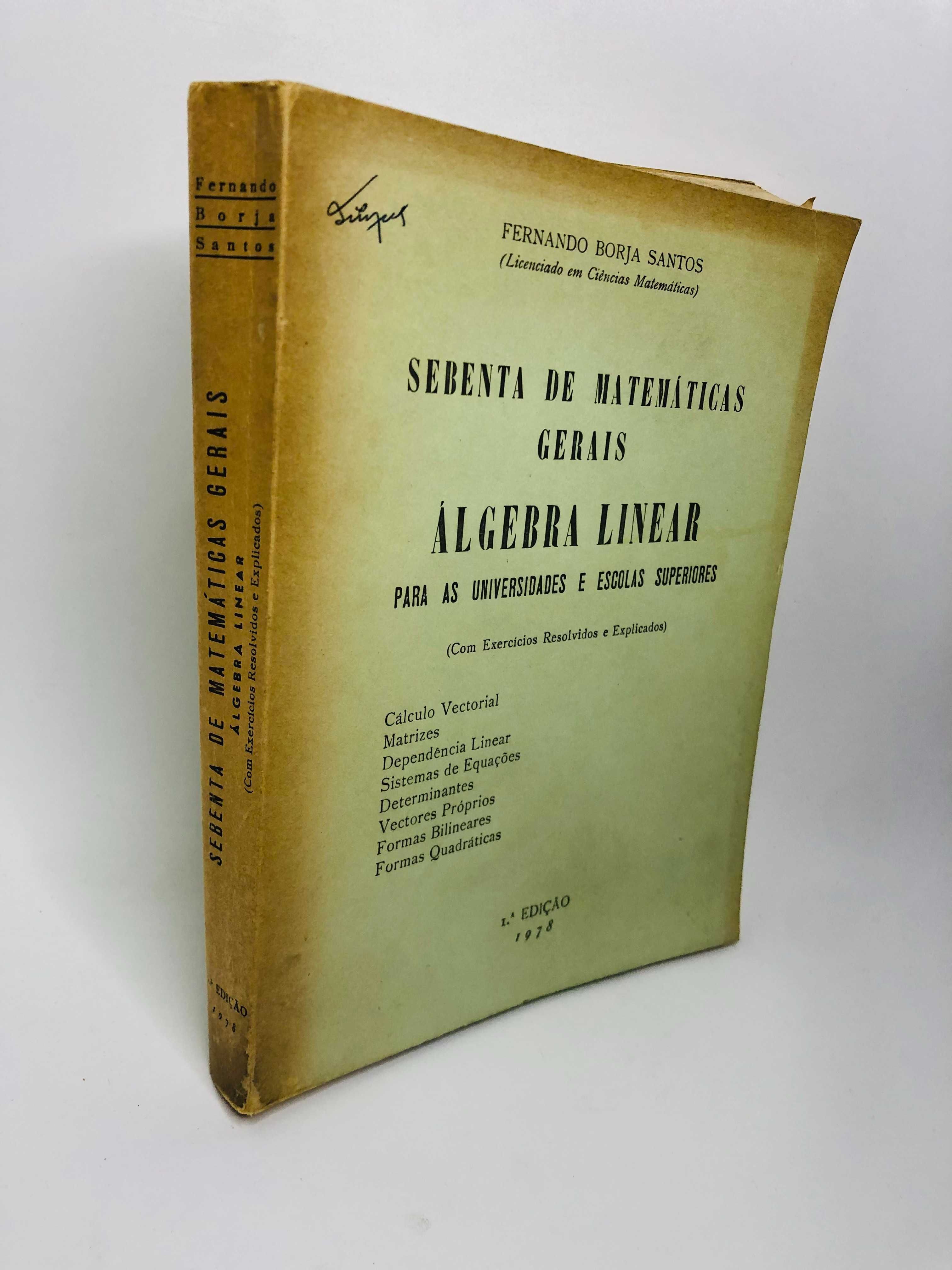 Sebenta de Matemáticas Gerais (Álgebra Linear)