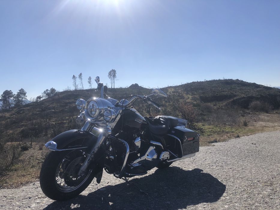 Harley davidson road king