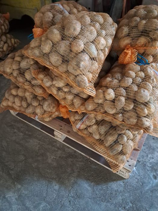 Ziemniaki  catania ,vinta, irga