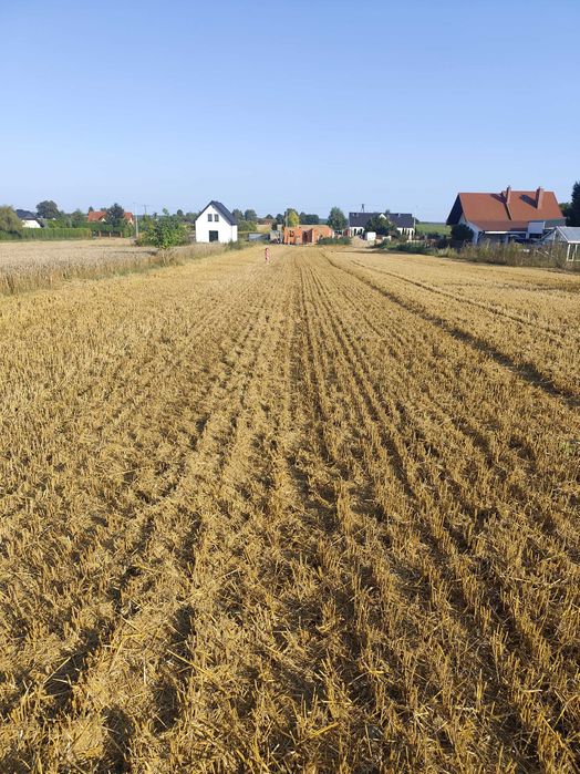 Zemborzyce Podleśne Działka