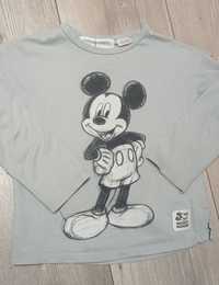 Szara bluzka Zara 98 myszka Mickey