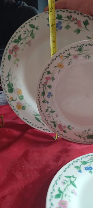 Talerze crown dinasty