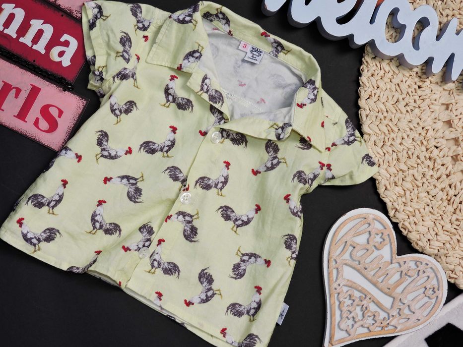 Comalasindias - koszula bawełna koguty r 68