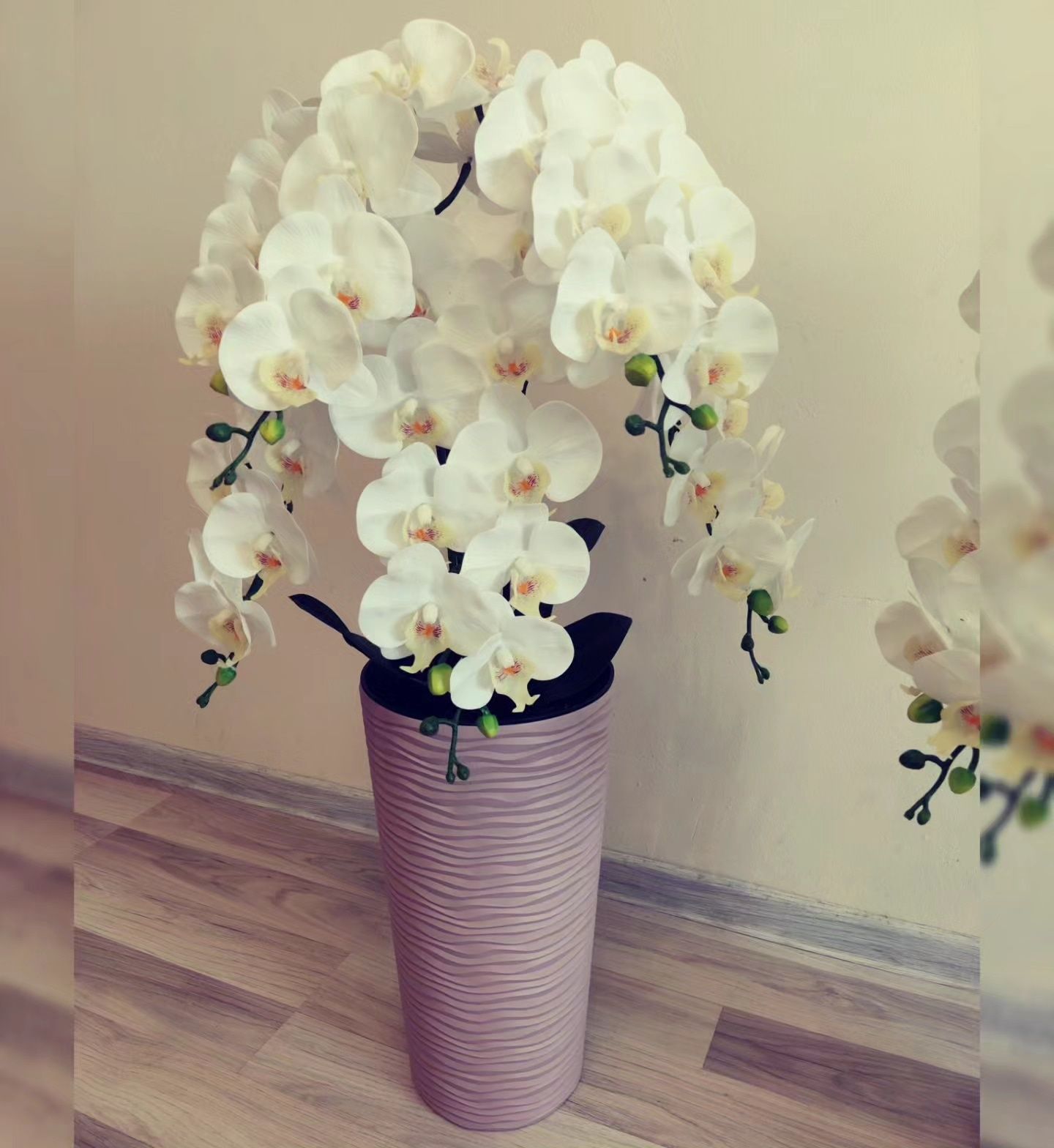 Декоративні пальми та орхідеї