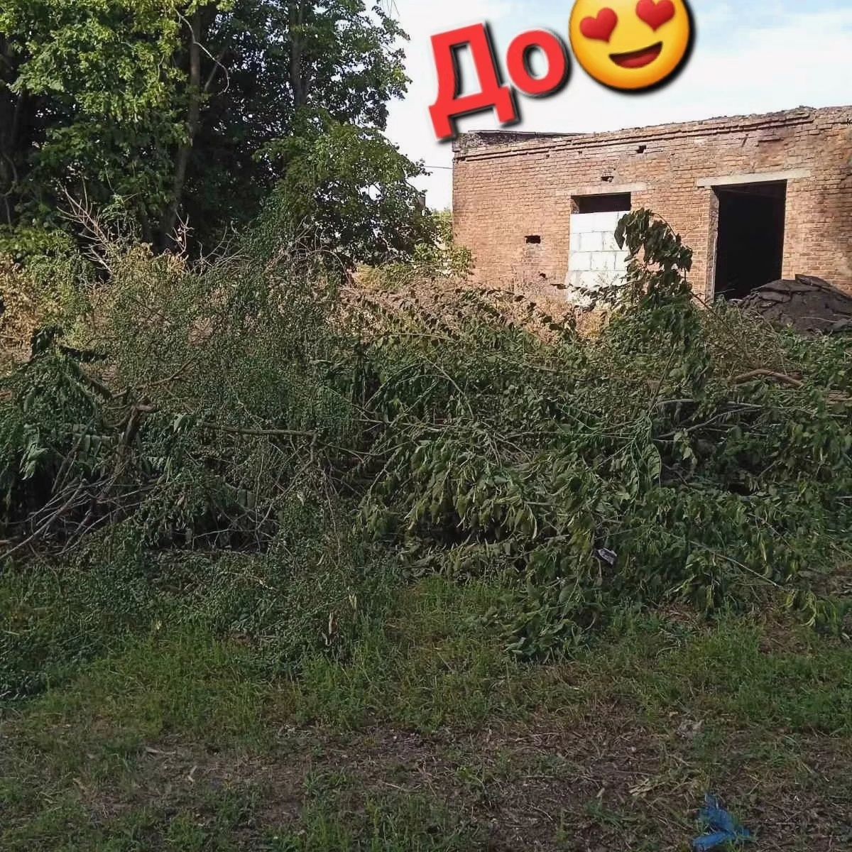 ПокОс травы уборка участка СПил деревьев