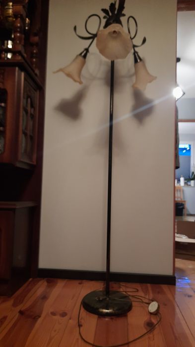 Lampa stojąca i żyrandol lampa sufitowa jak kuta retro