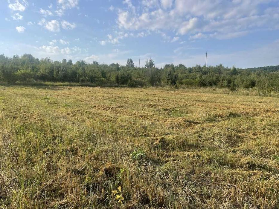 Земельна ділянка 15 сот Ст. Лисець, вул. Шевченка, під забудову (4)