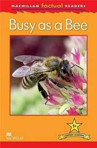 Factual: Busy as a Bee 1+ - Louise P. Caroll