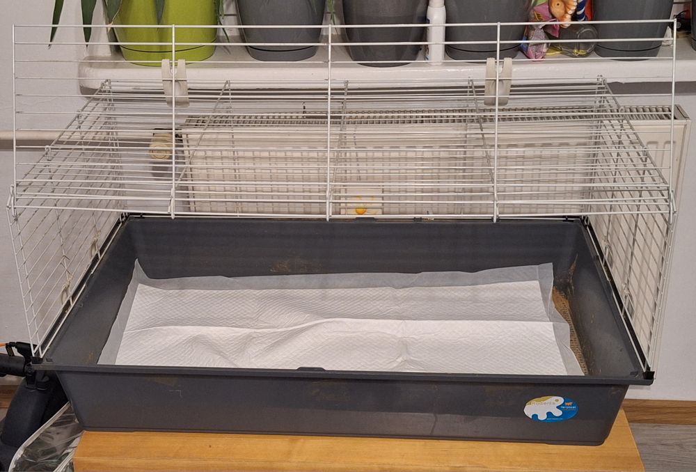 Klatka dla królika/swinki morskiej