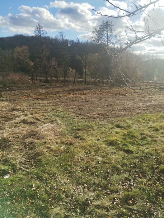 Демонтаж будівель тереторії ділянки під ключ уборка участків