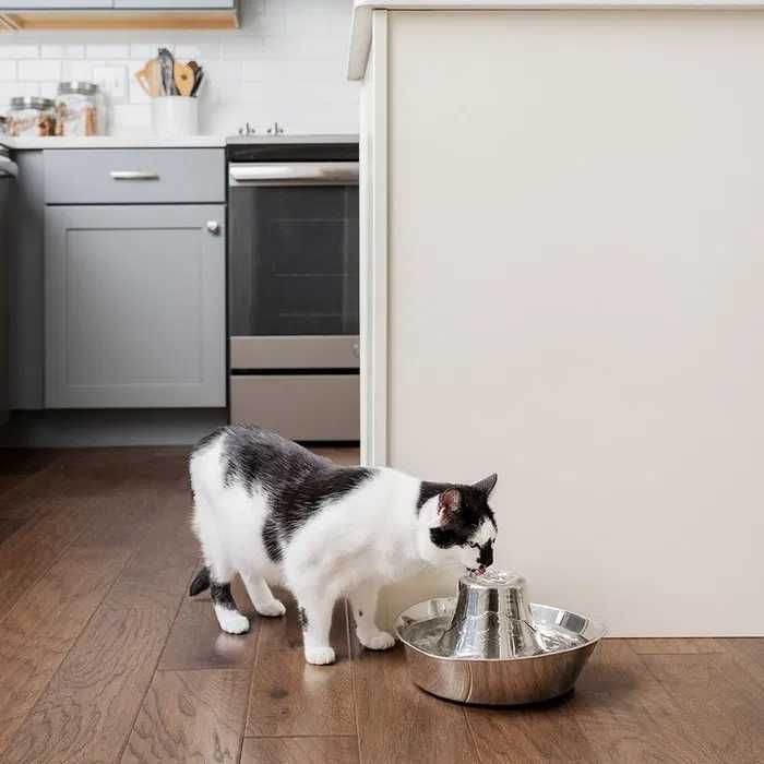 PetSafe® poidełko fontanna ze stali nierdzewnej