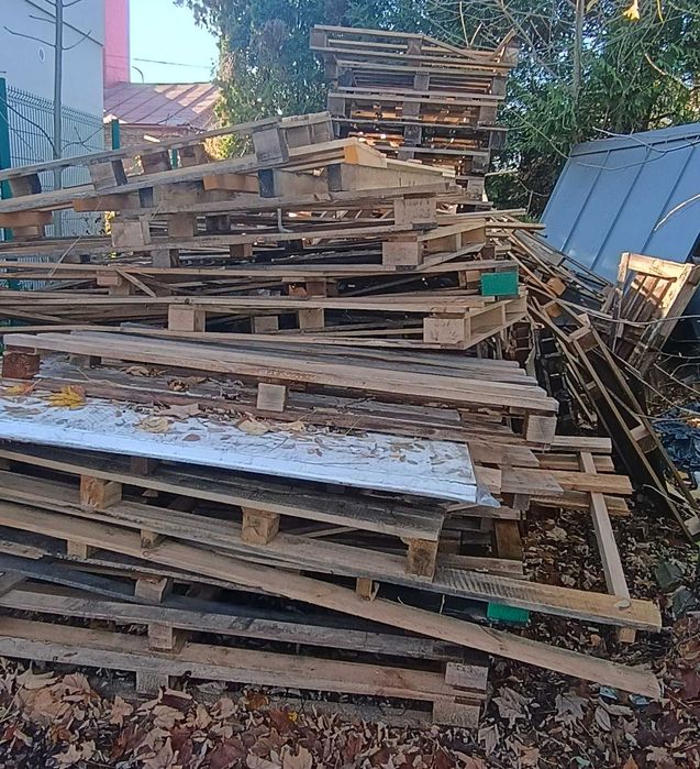 Oddam za darmo drewno