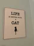 Placa Gato Preto