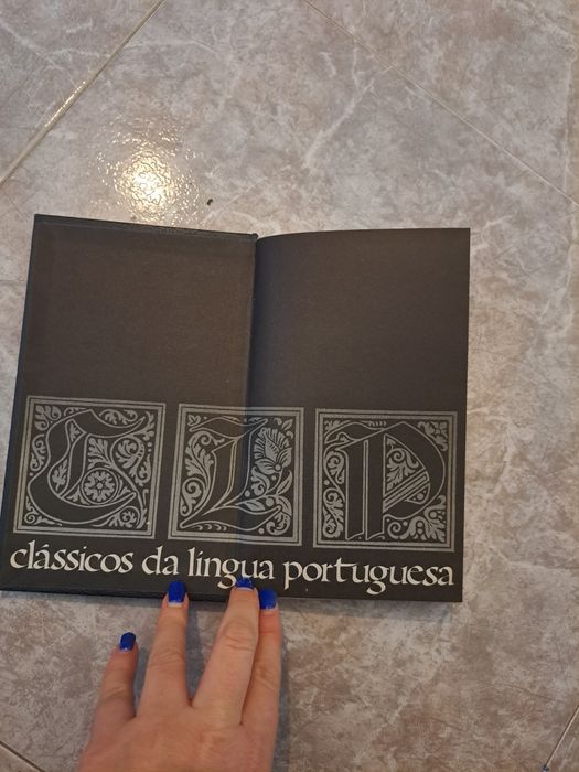 Livro Viagens da minha terra