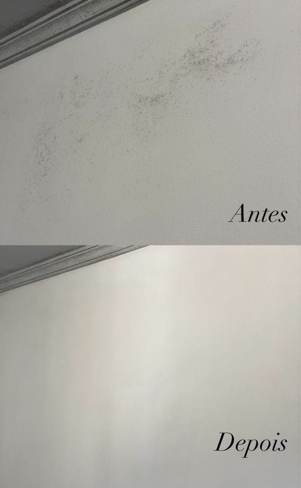 Limpeza casa , condominios , escritorios ,armazem …
