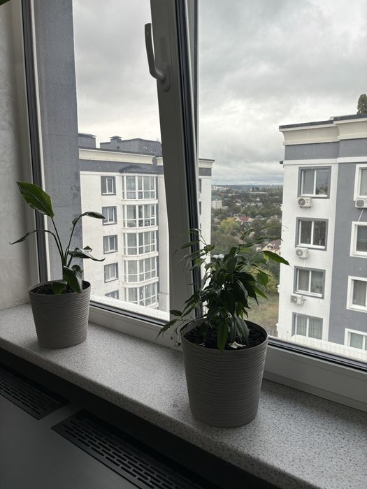 Євро3кімнатна квартира з якісними меблями, технікою