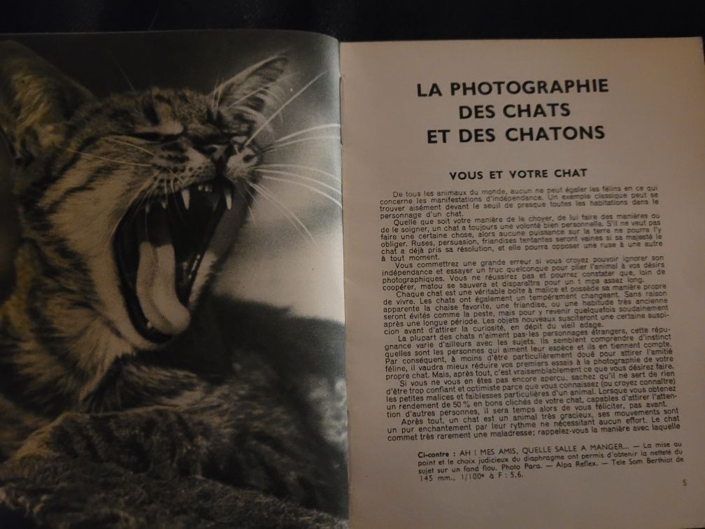 Philip Johnson La photographie de chats et des Chatons 1960 Prisma