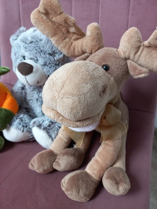 Miś misiek maskotki miśki zabawki dynia łoś pluszak dziecięce