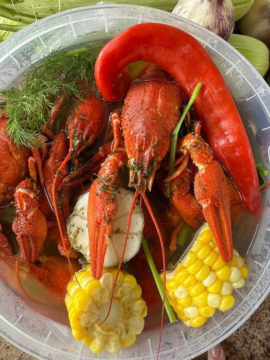 Живі Раки. Ірпінь, Буча, Гостомель