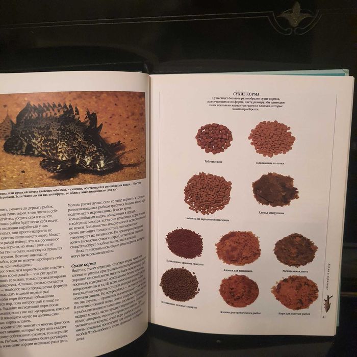 Аквариумные рыбки