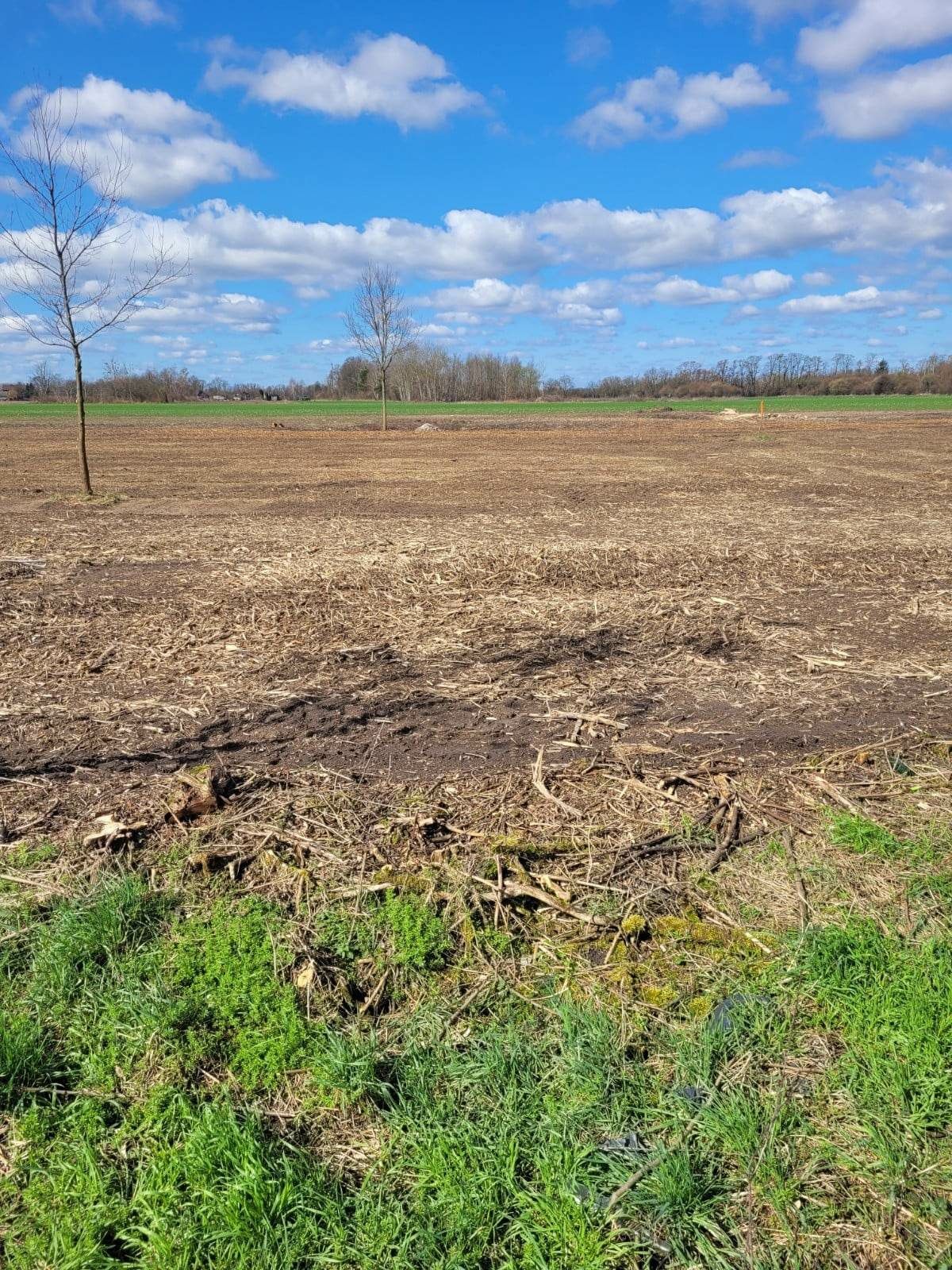 Działka budowlana Boża Wola 1041 m2 powiat Grodzisk Mazowiecki